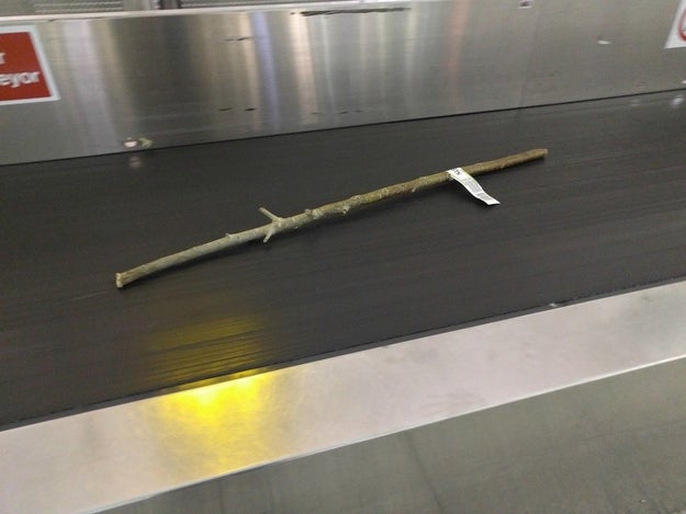 This branch that someone checked at an airport.