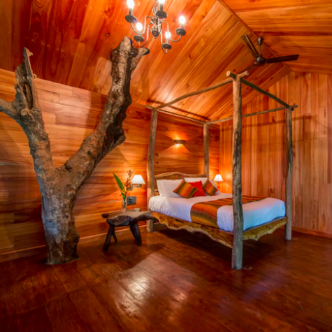 17 Unique Airbnbs In India That Ll Make You Start A Let S Go On A Trip Whatsapp Group Right Now Well, look no further, because i've put together the ultimate airbnb mumbai guide for the best places to stay. 17 unique airbnbs in india that ll make
