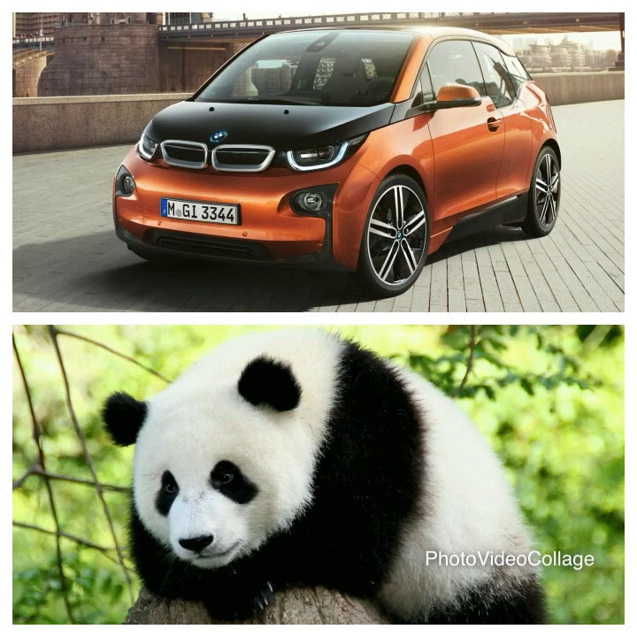 The BMW i3: equally as plush and cuddly-looking as it is unappealing and unattractive. To give the panda some dignity back after being compared to this eyesore, I will be honest and say I'd rather be seen with a Panda than next to the i3 or-heaven forbid-insideof one.