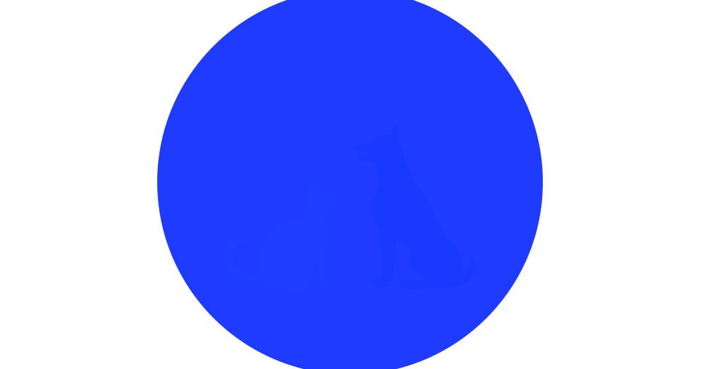 この青い丸の中の絵が全部見えたなら あなたの目は相当いいはず