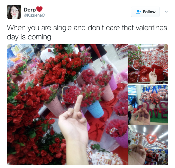 16 Tweets For Anyone Who Is Going To Be Alone On Valentine's Day