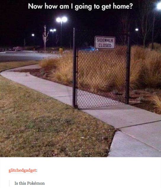 18 Hilarious Tumblr Posts That Are Inside Jokes For Pokemon Fans Pokemon © game freak art is by me. 18 hilarious tumblr posts that are