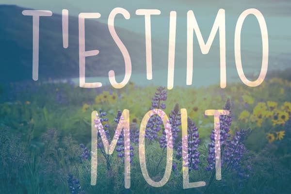 32 Gorgeous Ways To Say I Love You From Around The World