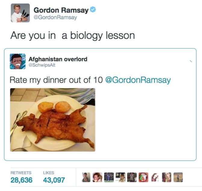 17 Times Gordon Ramsay Roasted The Hell Out Of People On Twitter