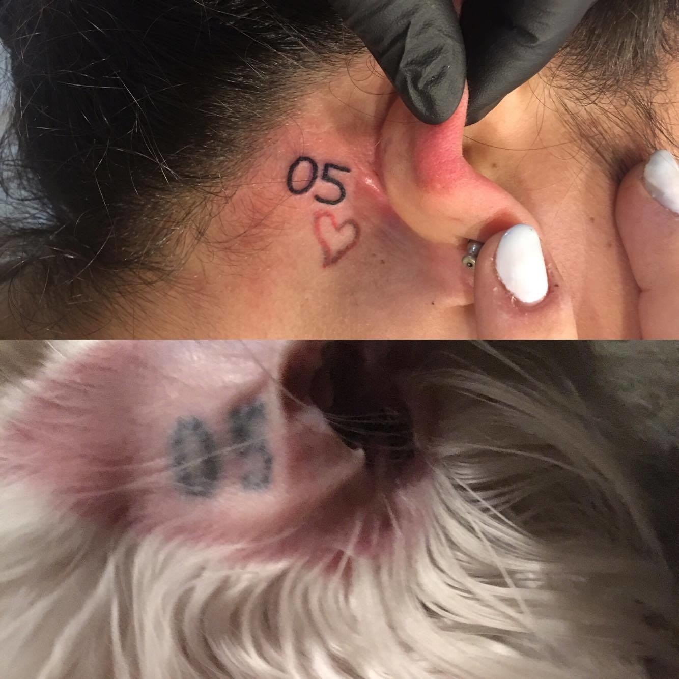 Greyhound Tattoos  Tattoofilter