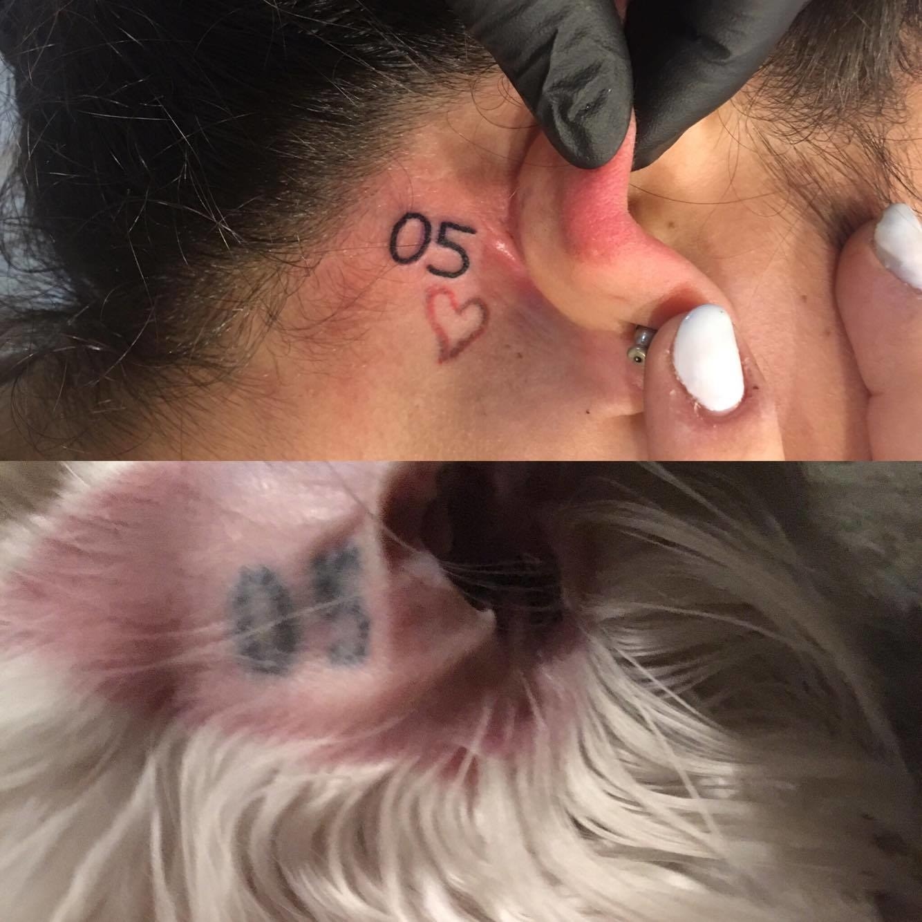 6 INSPIRING DOG TATTOO IDEAS  Best Tattoo Artist in Delhi  Gurgaon  Best  Tattoo Studio in Delhi  Gurgaon