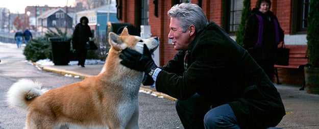 Hachi: A Dog's Tale