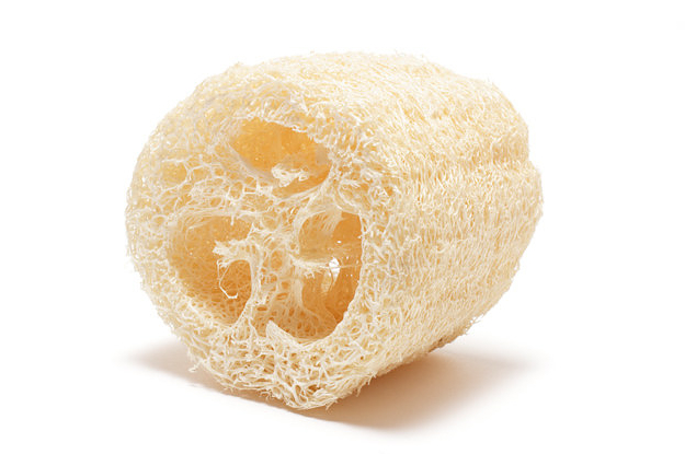 Today I Learned Where Loofahs Come From And I Need To Share This