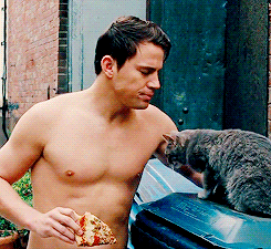 You're a cat person!