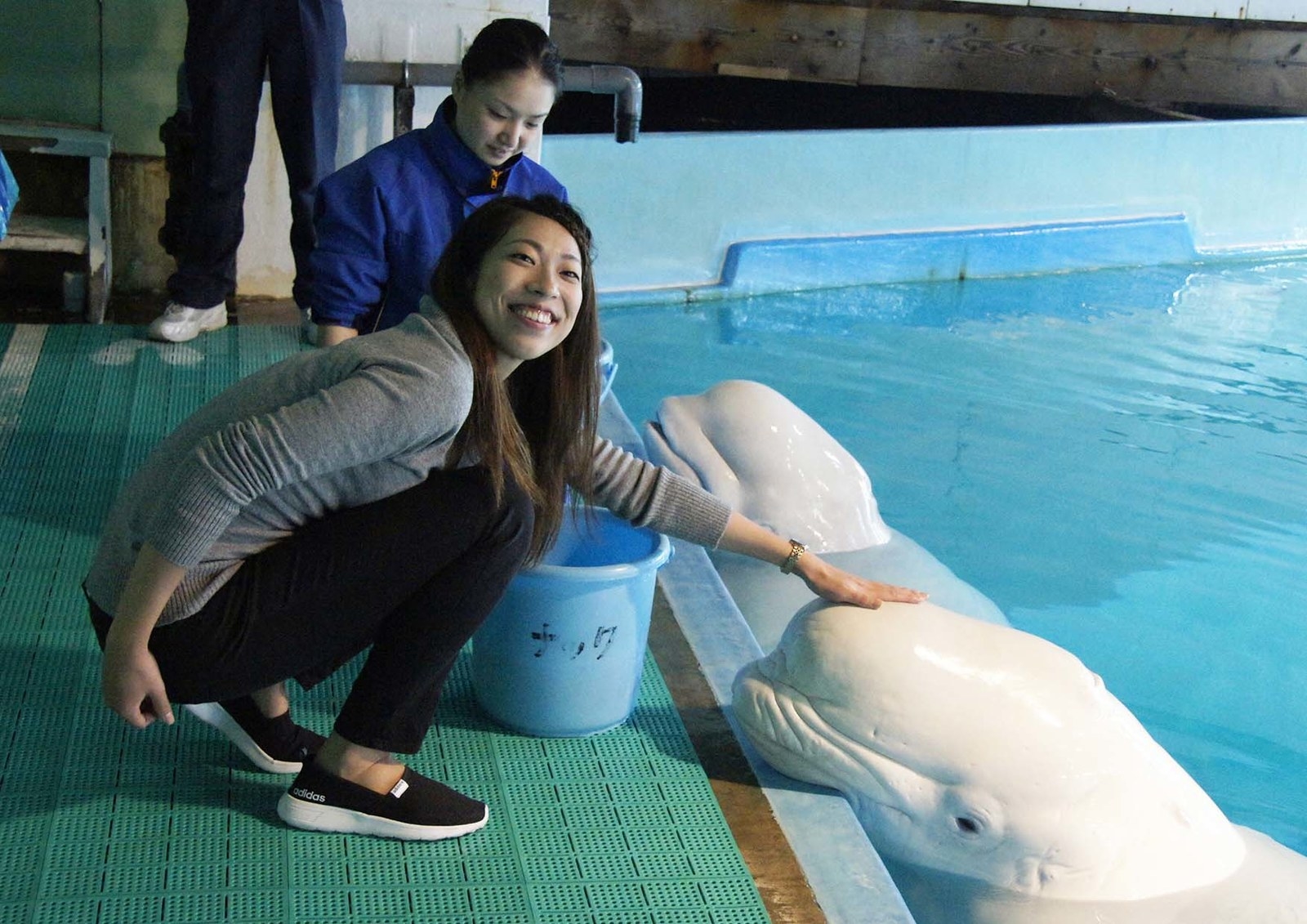 水族館に一泊できる 鴨川シーワールドの女子会プランが豪華