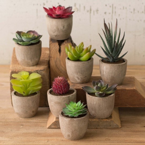 A set of potted faux succulents that'll transform their space and bring them ~down to Earth~.