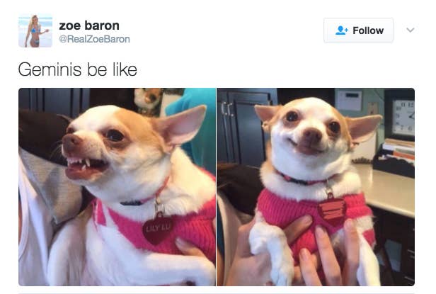 19 Tweets That Will Make Geminis Laugh Harder Than They Should