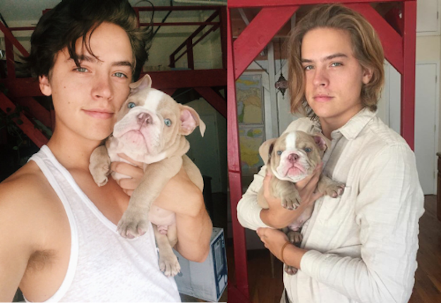 21 Reasons Dylan And Cole Sprouse Are The Total Package