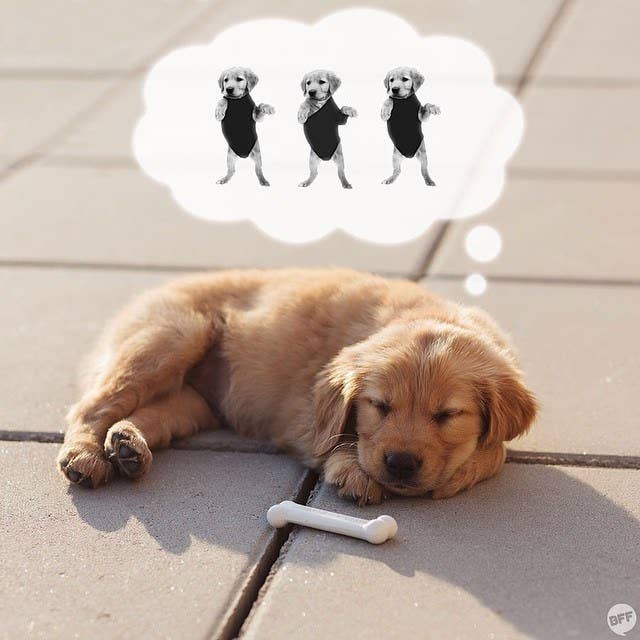 経験者が語る 失恋したばかりの人がしてはいけないこと