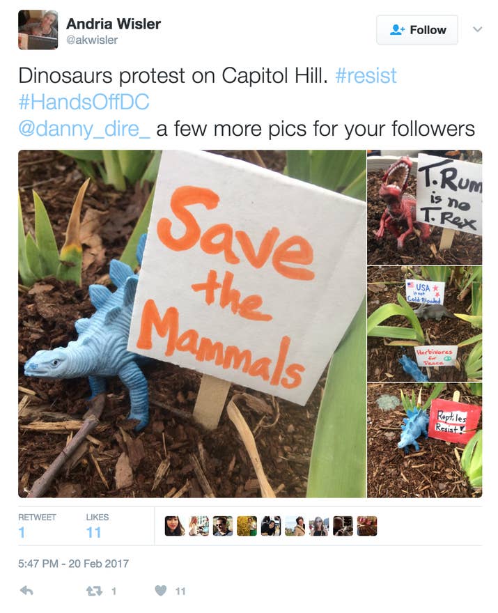 Watch Dinosaurs Alive Online Hollywoodreporter