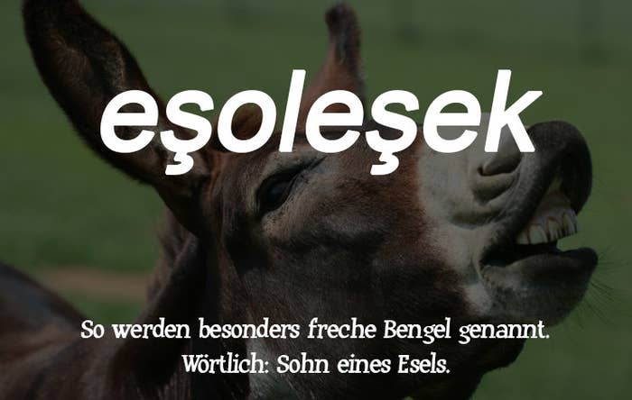 16 Türkische Schimpfwörter Die Wir Dringend Im Deutschen