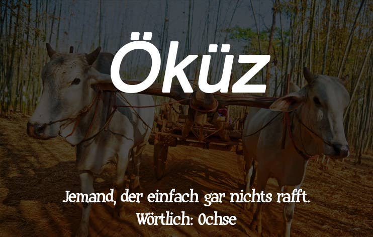 Download Tuerkische suesse saetze For Free