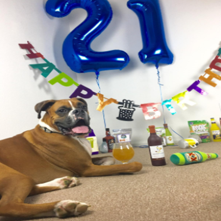 27 Things You Need If Your Dog Is Your Best Friend