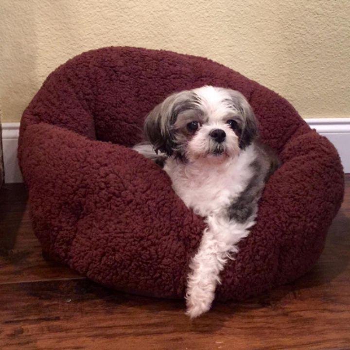 27 Things You Need If Your Dog Is Your Best Friend