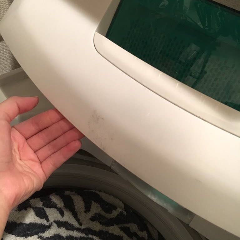ブラジャーのパット 実はとっても使えることが判明 今すぐ試したい