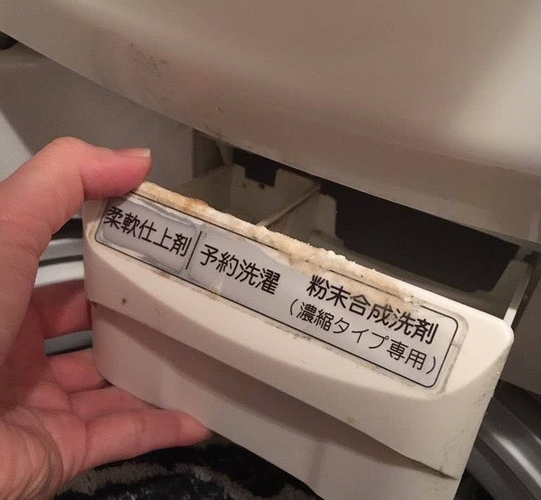 ブラジャーのパット 実はとっても使えることが判明 今すぐ試したい