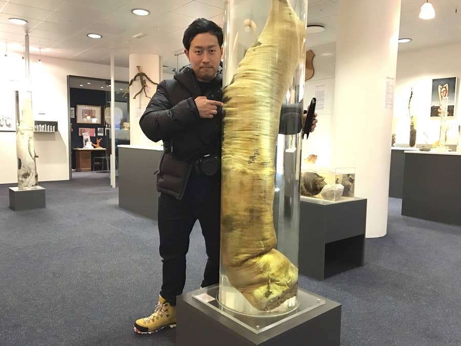 大人気 世界中の男性器がならぶ博物館に行ってみた