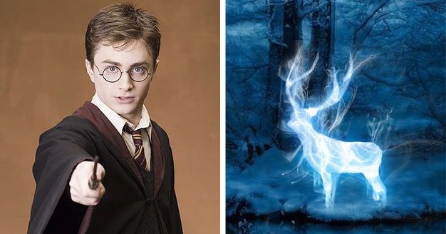 Which patronus belongs to who? 