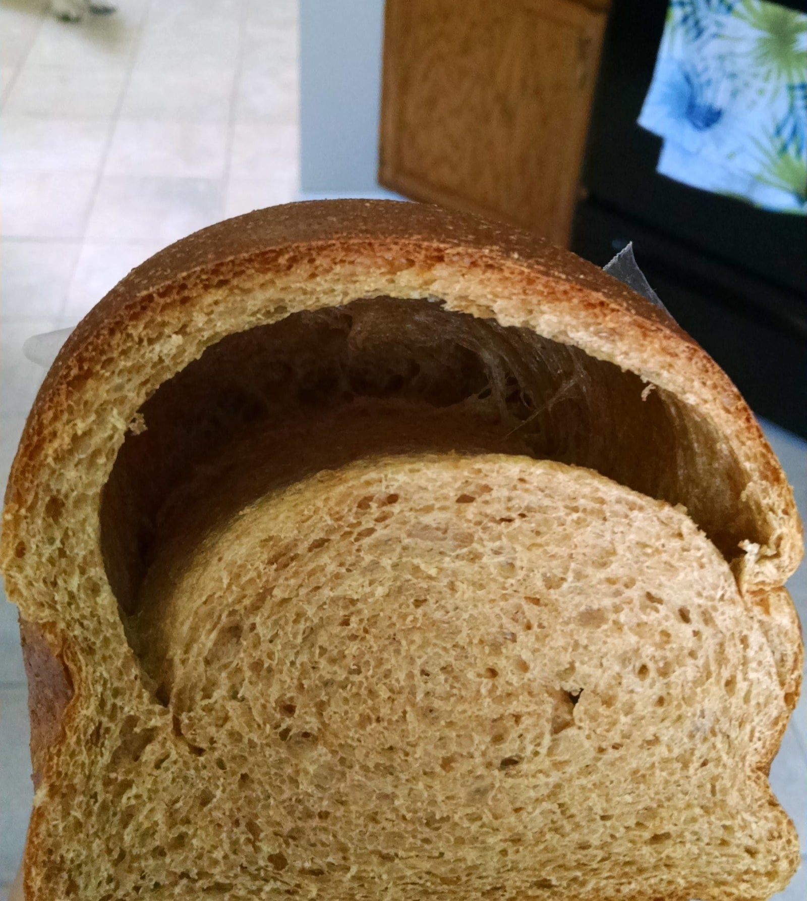 Что внутри хлеба. Необычный хлеб. Пустоты в хлебе. Дефекты мякиша хлеба. Закал хлеба.