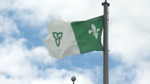 La ville compte la troisième population francophone en importance au Canada, à l'extérieur du Québec.