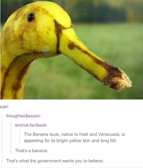 photos make you think
