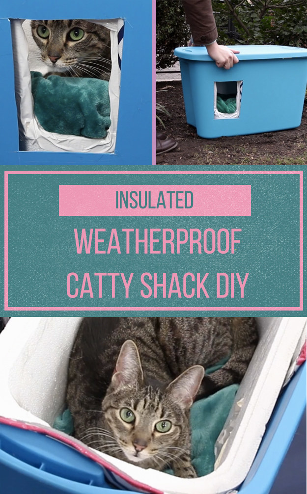 make this weatherproof, insulated cat shelter to keep your