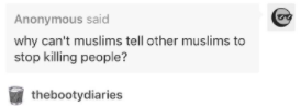 Chowdhury recently had a message from an anonymous user on her Tumblr. The user asked Chowdhury, "why can't muslims tell other muslims to stop killing people?"