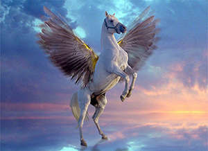 Pegasus