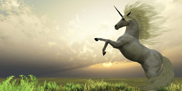 Unicorn