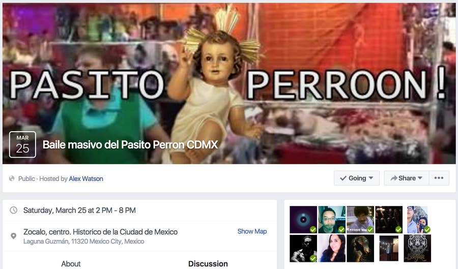 El Meme Del Pasito Perron Se Salio De Control Y Ahora Sera Un Evento Masivo Algo que está perrón que toda la gente brinca de emoción se mueven muy rico con esta canción tocamos el ritmo desde el corazón. el meme del pasito perron se salio de