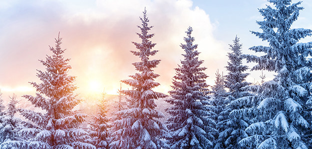 This 8-Picture Test Will Reveal Your Perfect Wintry Match