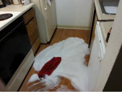 Dishwashing soap does NOT go in the dishwasher, kid.