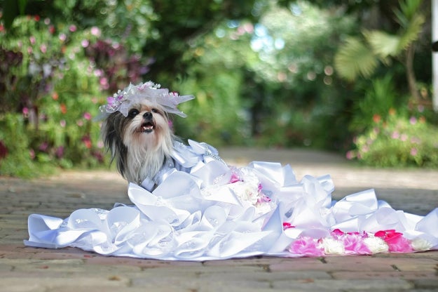 Here's the beautiful bride.