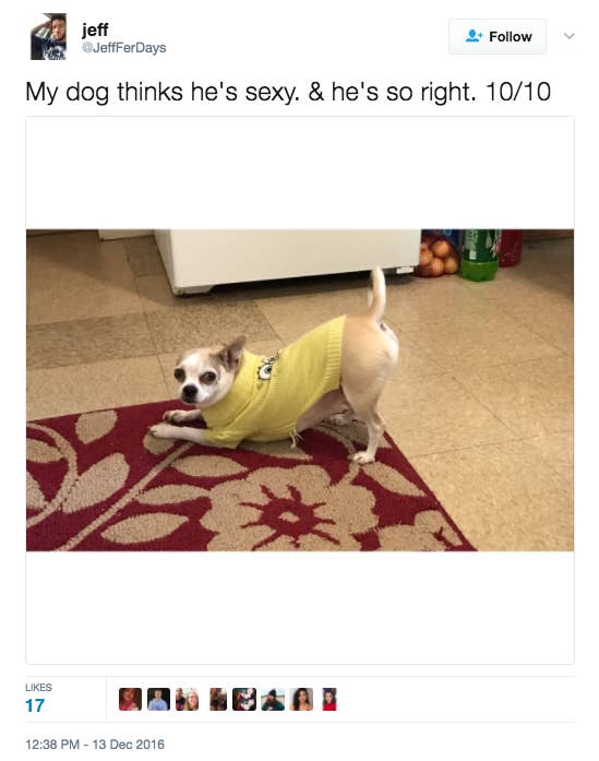 Sexy funny dog top