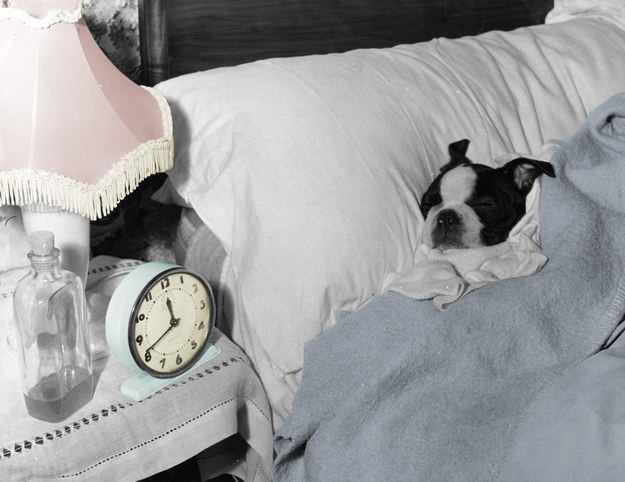 Everything you thought you knew was wrong: Daylight Saving Time myths