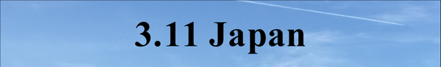 311 Japan