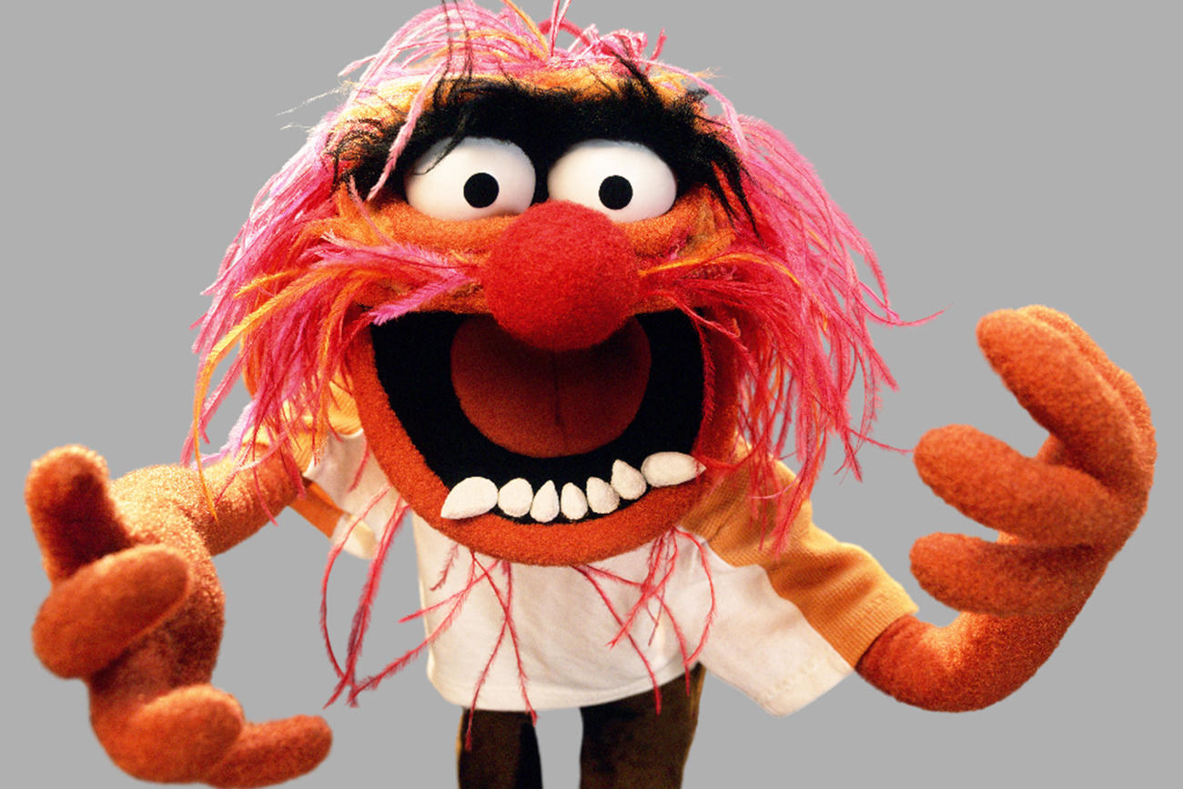 13 Secrets You Probably Don't Know About The Muppets