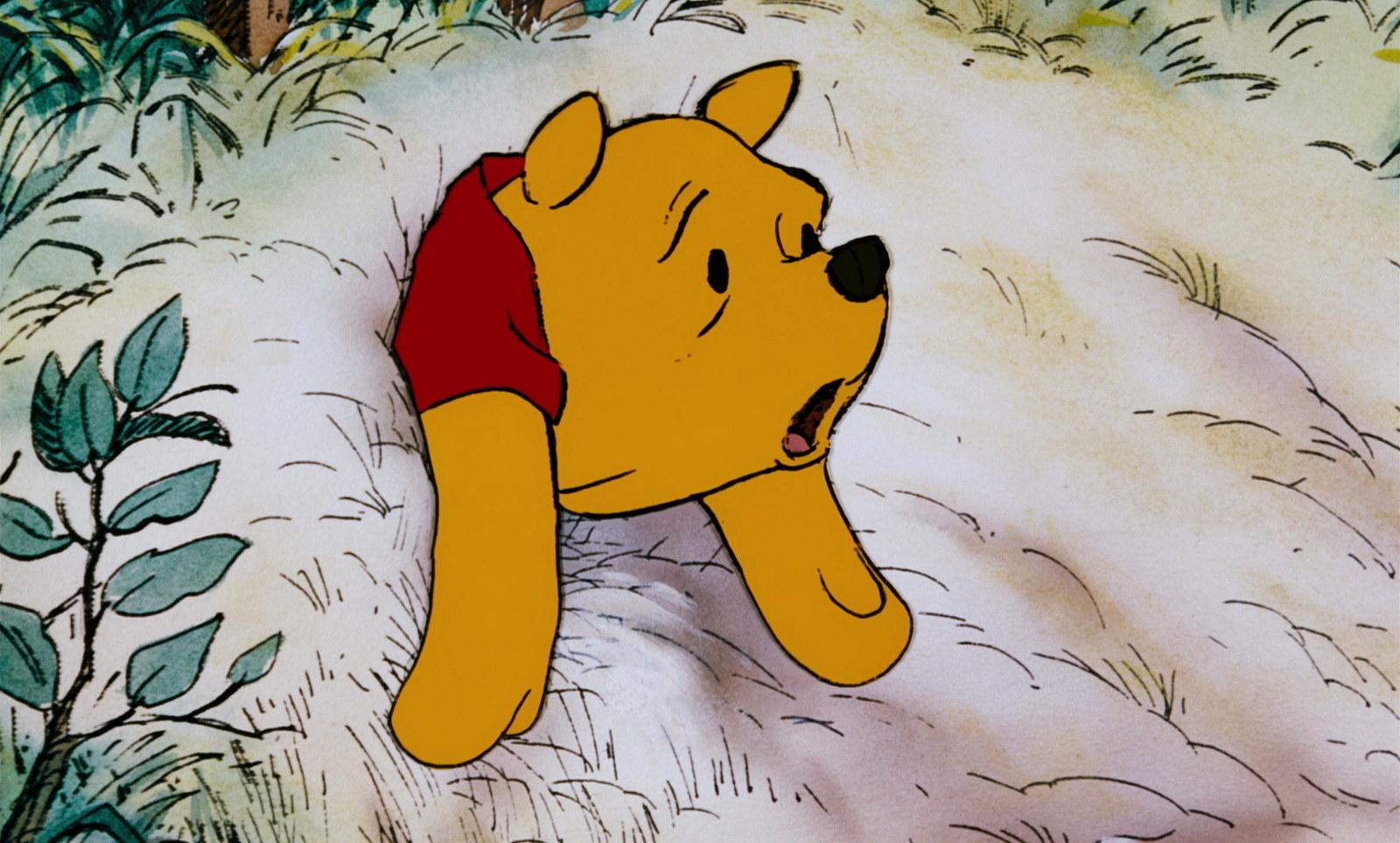 Winnie The Pooh Cartoon Porn Comics - 32 Faces You'll Recognize If You've Ever Had Anal Sex With A Penis