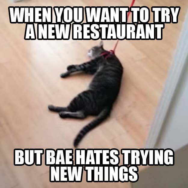 Trying To Spell Restaurant On The First Try Meme Ahseeit