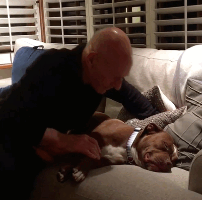 This is Patrick "punishing" Ginger for snoozing on the plush sofa. What a lucky dog she is. She clearly can't believe she's got such a comfortable new home.