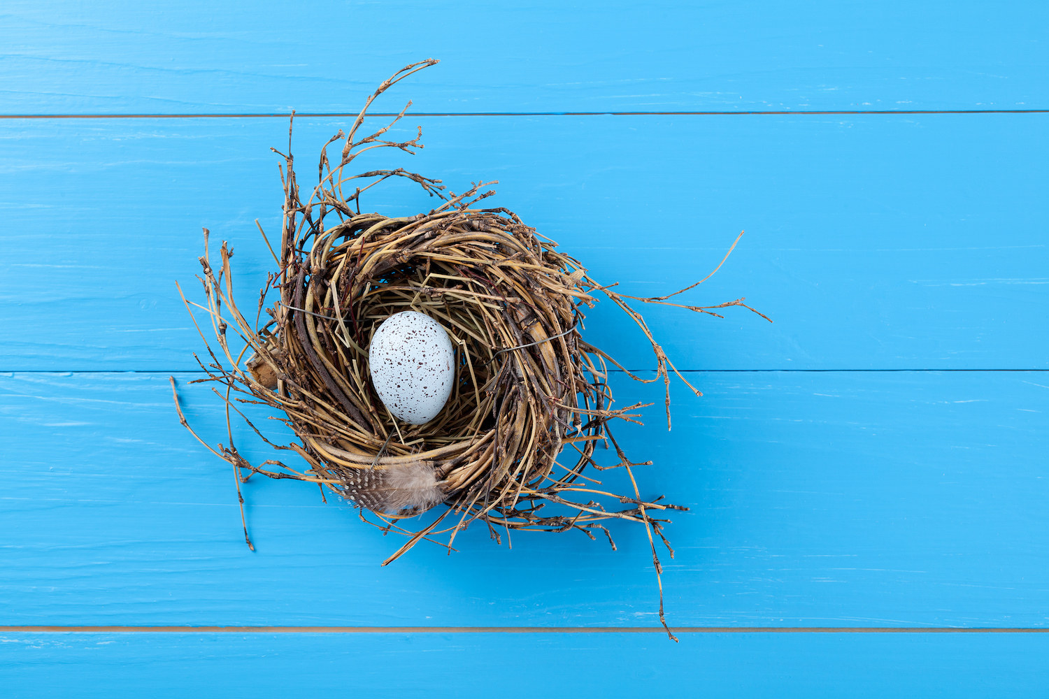 The people at Printed Nest are looking to bring birds back to urban areas — and they're achieving this goal through 3D design and printing.