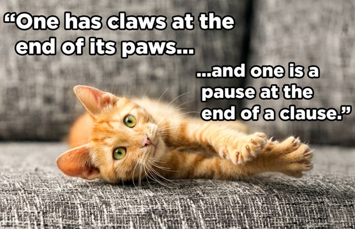 25 Jokes Guaranteed To Make Grammar Nerds Laugh - 