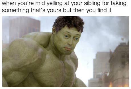 24 Jokes You Ll Only Get If You Have Siblings Related article ➤ 45 funny sarcastic quotes to insult your facebook friends. have siblings