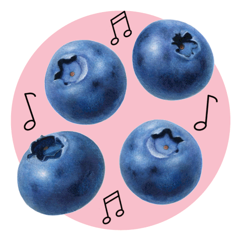 Blueberry
