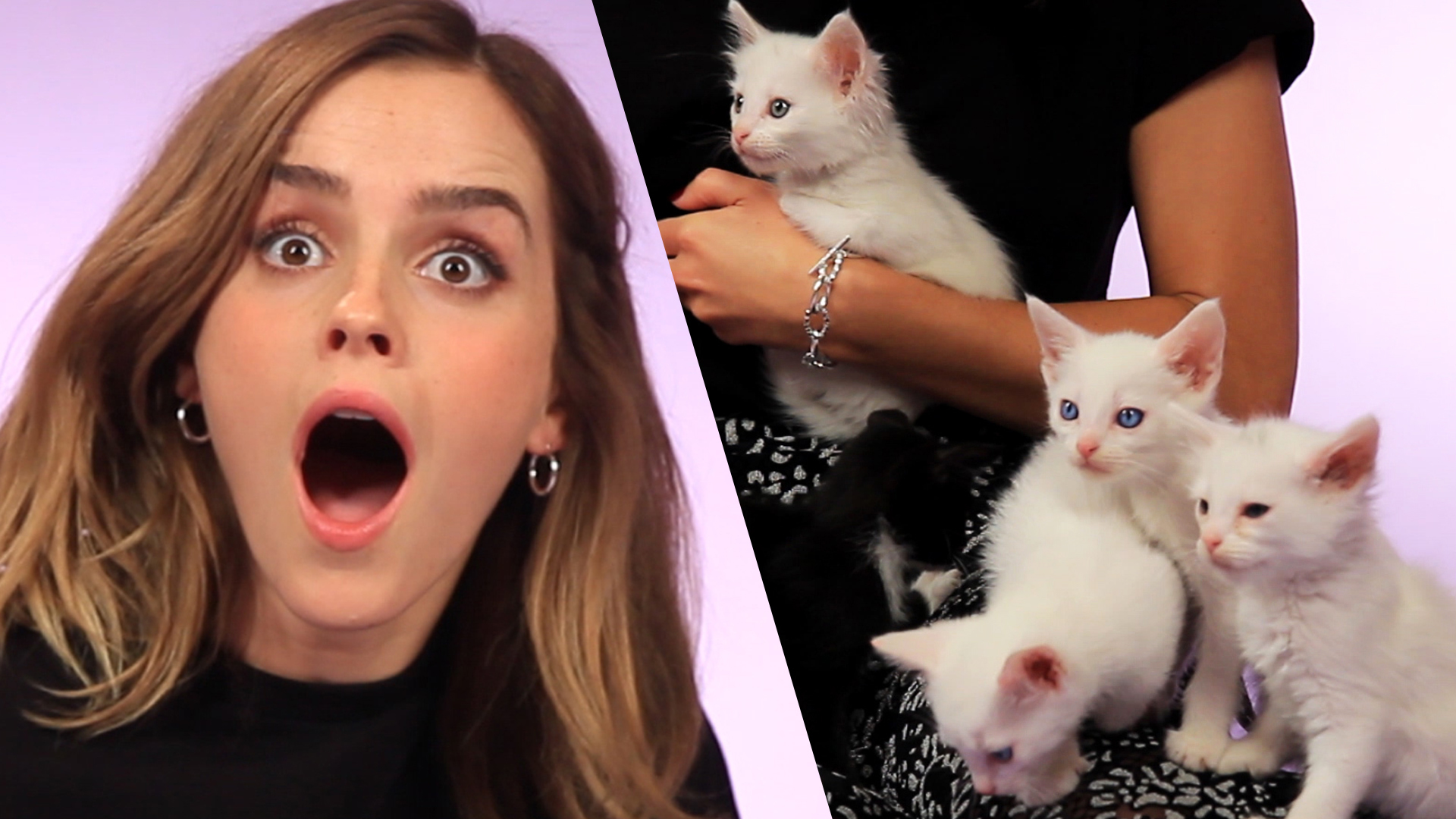 Fans Praise Emma Chamberlain After 'Uncomfortable' Doja Cat